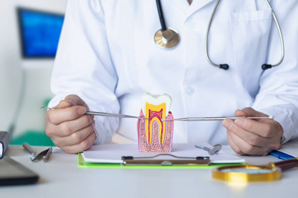 Best Emergency Care for Gum Disease in Benton, LA